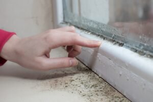 residential window repair